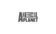 animal-planet-logo